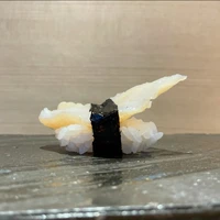 画像1158