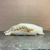 画像1325
