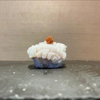 画像1363