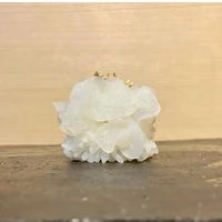 画像1424