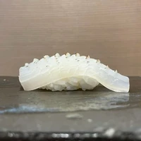 画像1457