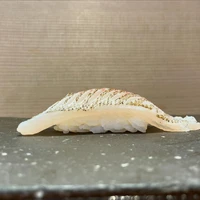 画像1524