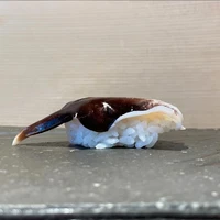 画像1609