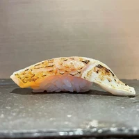 画像1666