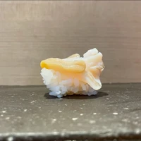 画像2072