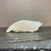 画像2285