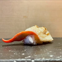 画像2637