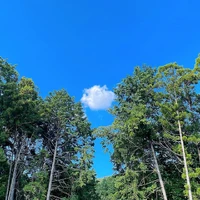 画像2849