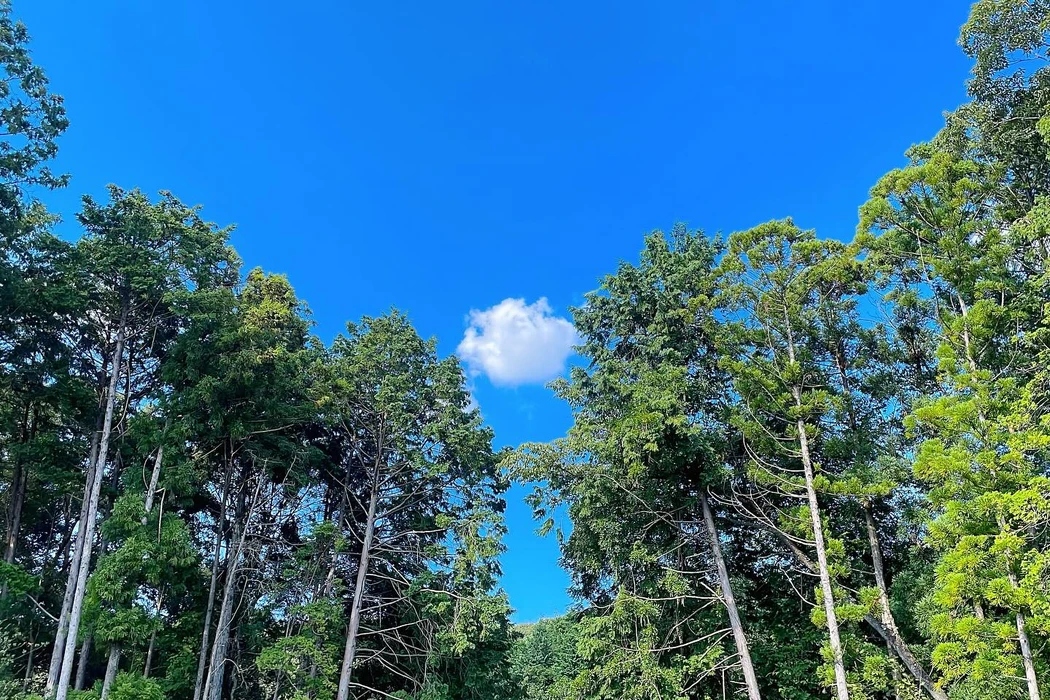 画像2849