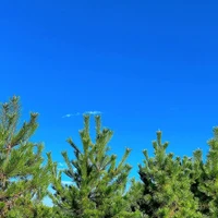 画像2850