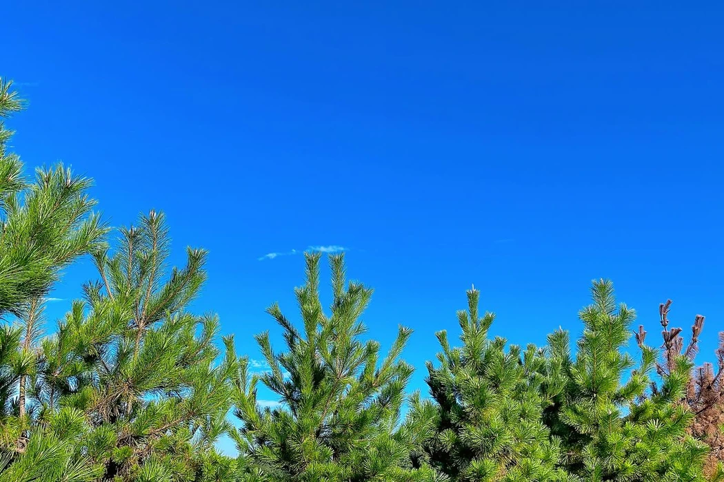 画像2850