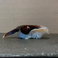 画像3804