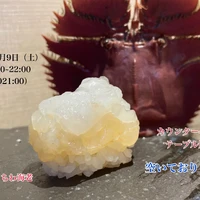 画像4481