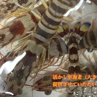 画像4486