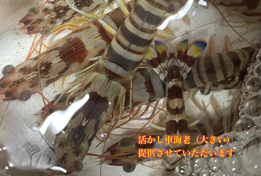 画像4486