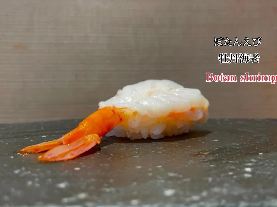 画像4551