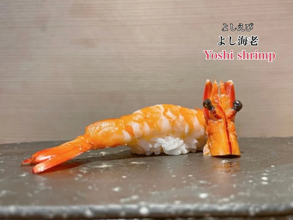 画像4572