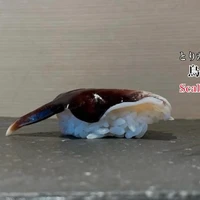 画像4601