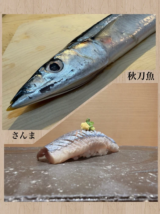 画像4669