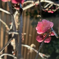 画像568