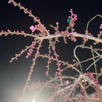 画像572