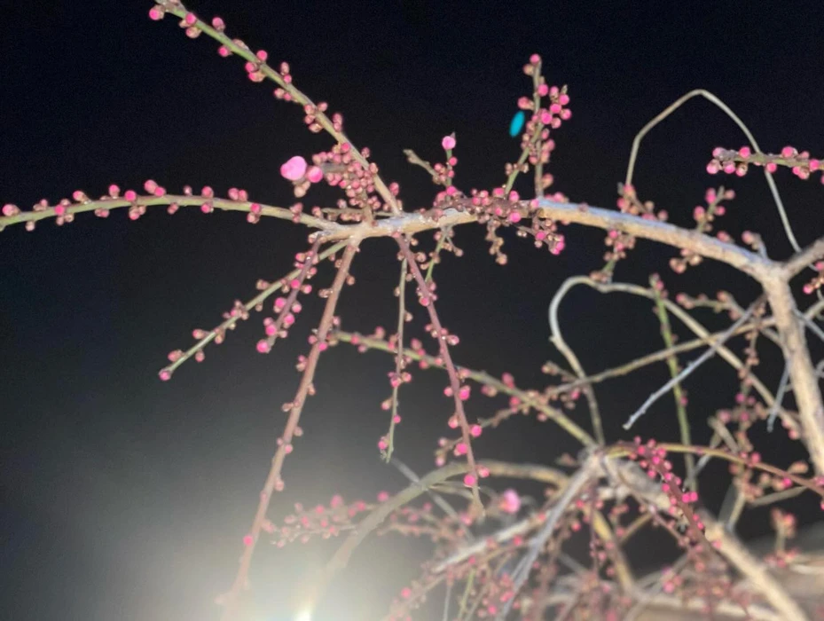 画像572