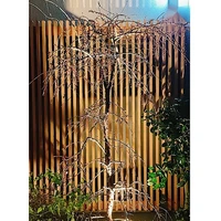 画像573