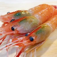 画像687