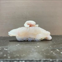 画像795