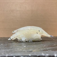 画像838