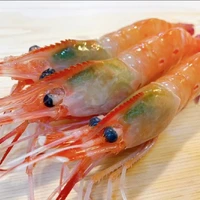 画像857
